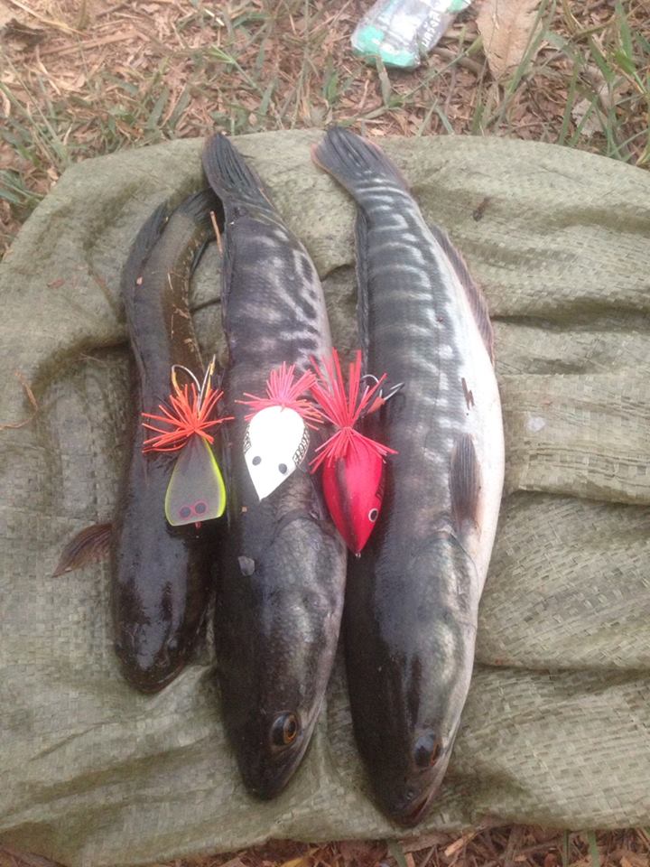 วันนี้ฮ็อตจริง ๆ เลย FISHING4U โดย Ket Zaza