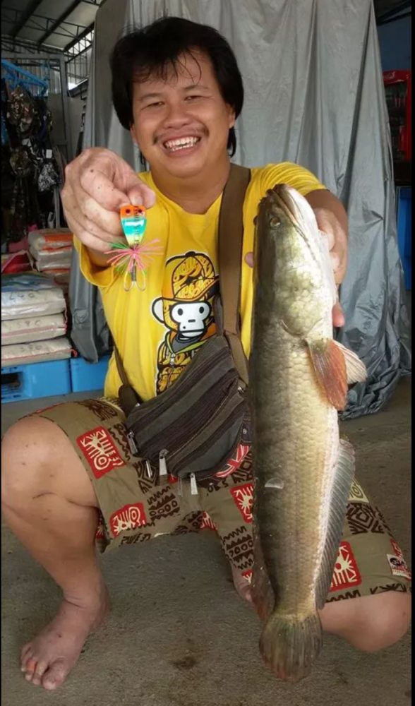 โดนเข้าให้แล้ว  กบสามเหลี่ยม FISHING4U กับช่อน 1.6โล