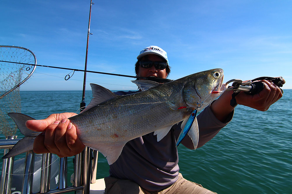**..หนุกหนานกับ..300ยอด...fishing boat..**