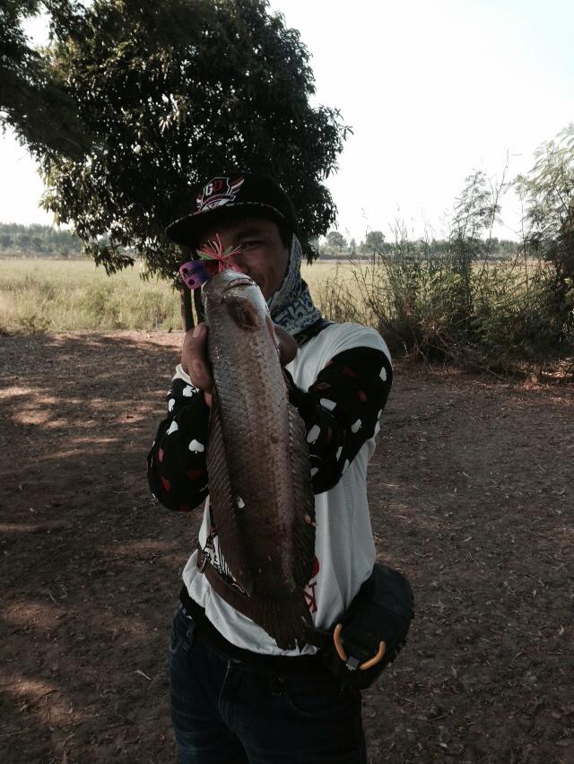 ยามเช้า กับ FISHING4U