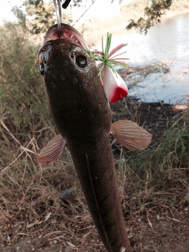 ยามเช้า กับ FISHING4U