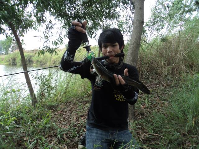 ไม่ค่อยได้ออกไปตก คิดถึงภาพเก่าๆ ที่เร้าใจ.