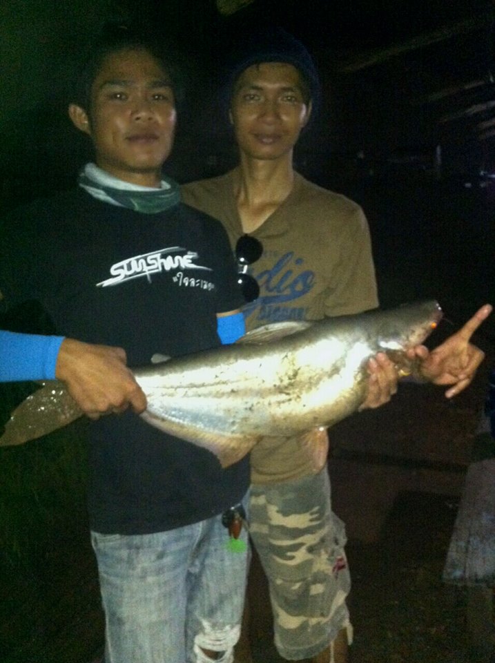 ไม่ค่อยได้ออกไปตก คิดถึงภาพเก่าๆ ที่เร้าใจ.