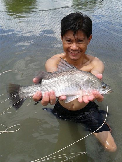 กระพงตกออกบ่อผมเอง 