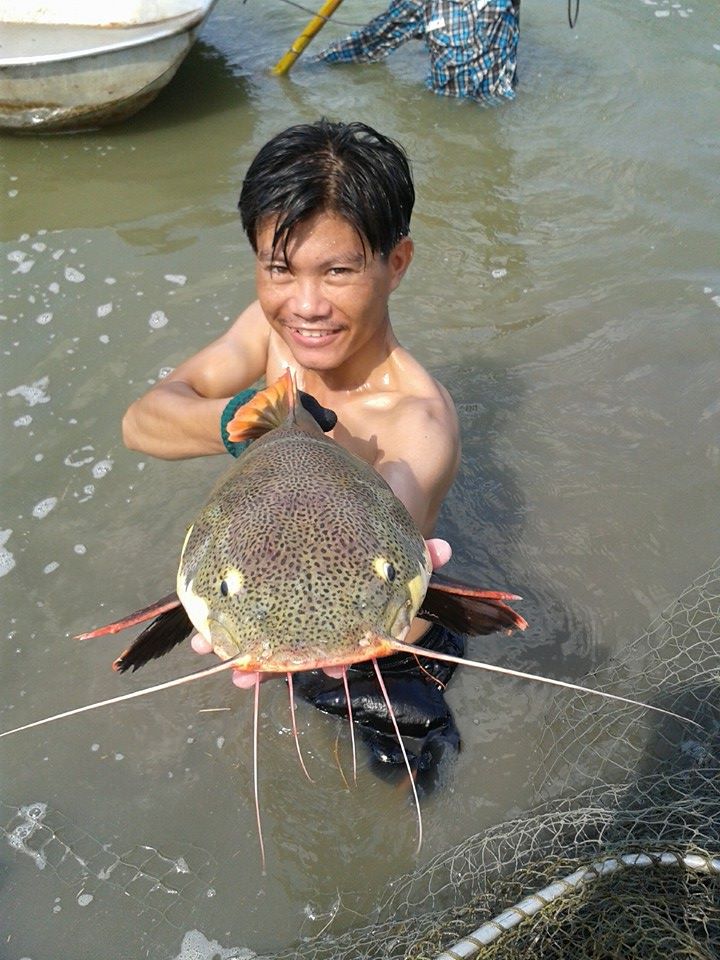 กระพงตกออกบ่อผมเอง 