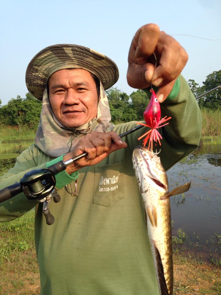 ส่งผลงาน กบเลื้อย FISHING4U หน่อยครับ...  โดย โปรพี ปลาขอ นะจ๊ะ