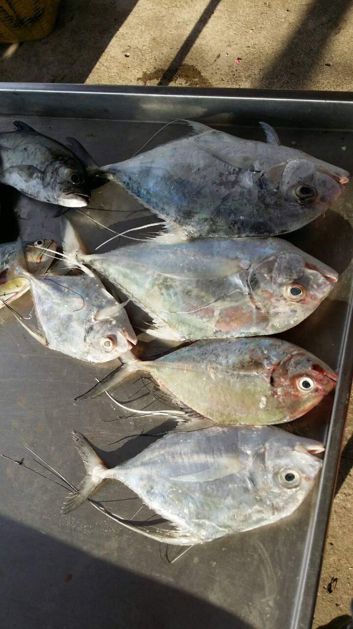 เลตราด 3 วัน 2 คืนกับไต๋เปี๊ยก