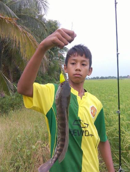 น้องแชมป์จัดมา Bump Frog
