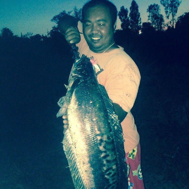 นาน ๆ โดนกัดเค้าที เล่นซะใหญ่เลยนะ ผลงานกบสามเหลี่ยม FISHING4U โดย จืด คลองคต