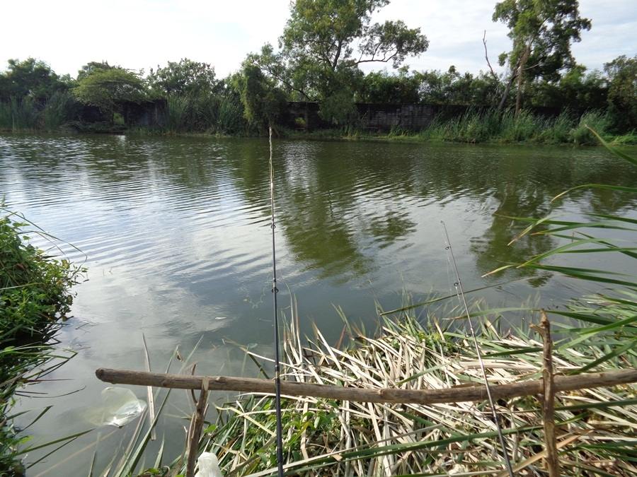 ใส้ปลาทูภาค 2