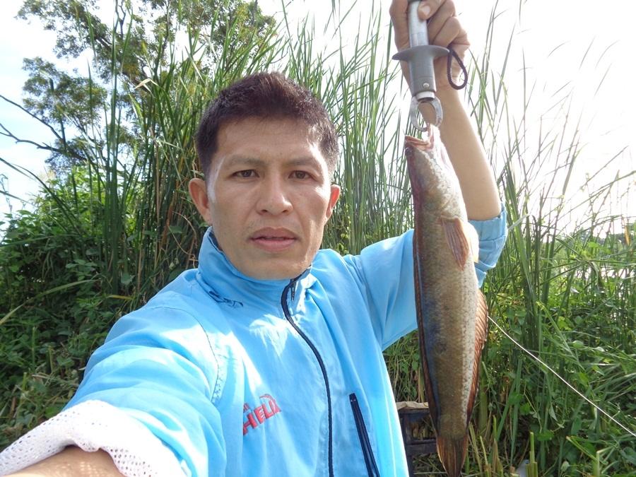 ใส้ปลาทูภาค 2