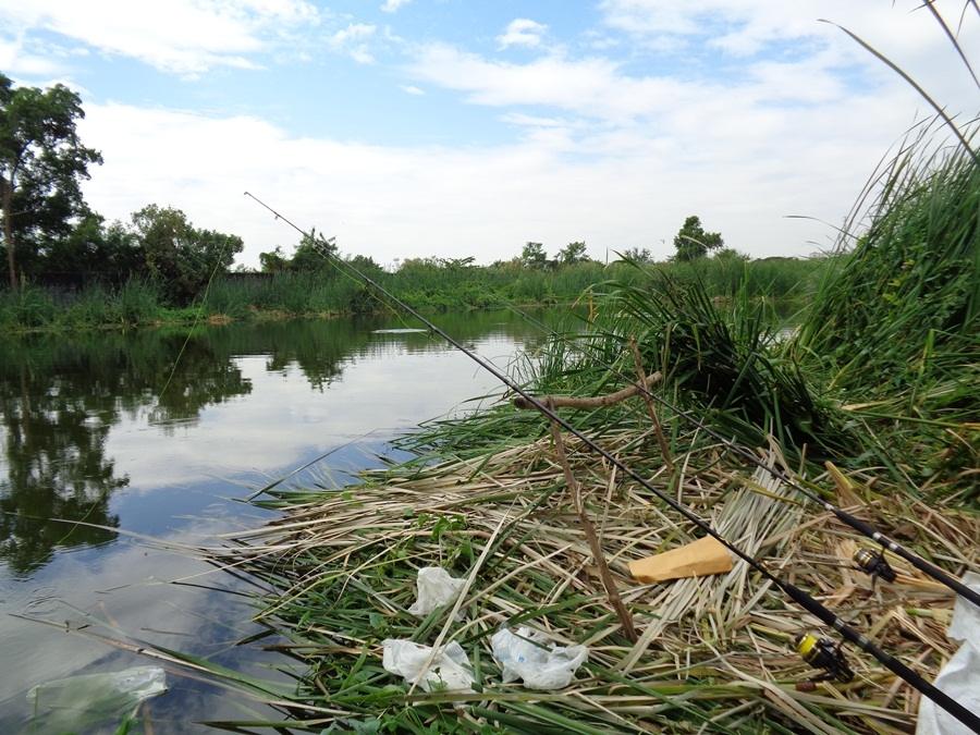 ใส้ปลาทูภาค 2
