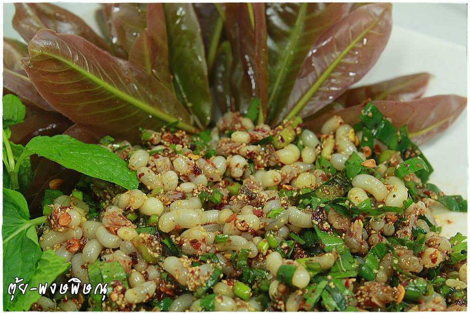 เล่นของสูง
