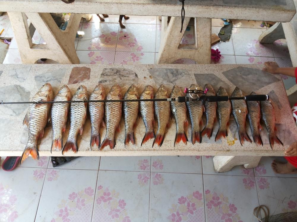 กระสูบน้ำไหลนิดหน่อย