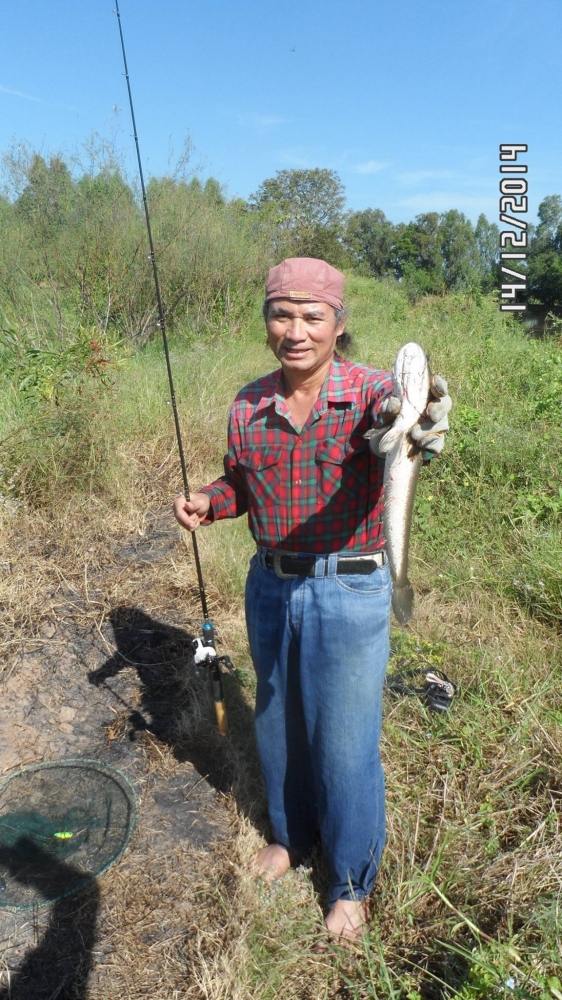 ช่อนวันพ่อ