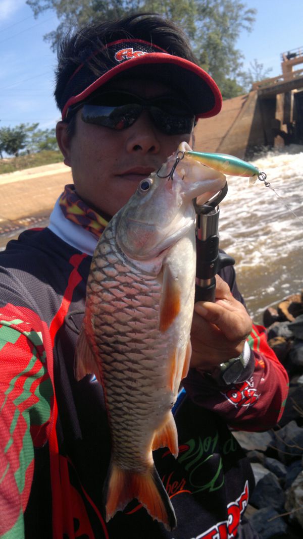 "Mustad"โฉบเป็นติด สะกิดเป็นโดน..