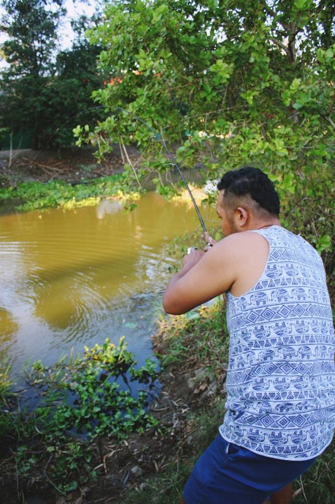 ชะโดคลองเพชรบุรี