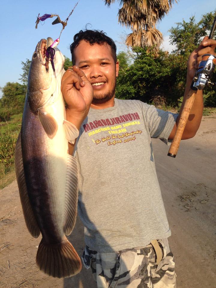 ชะโดคลองเพชรบุรี