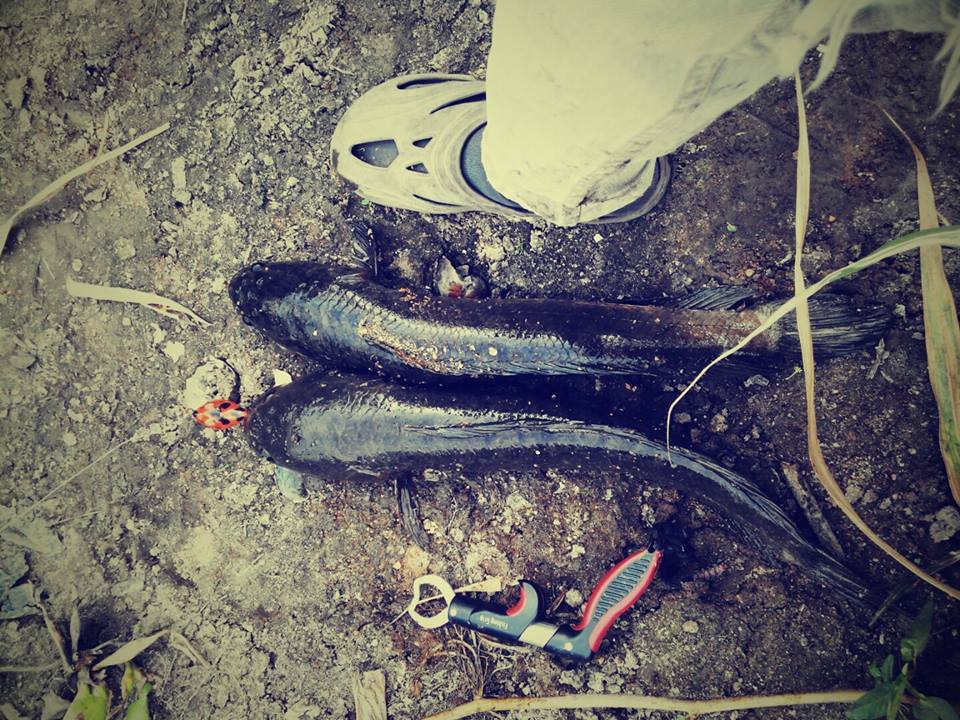 ตียัดป่า!!!!!!!!!!!!!!