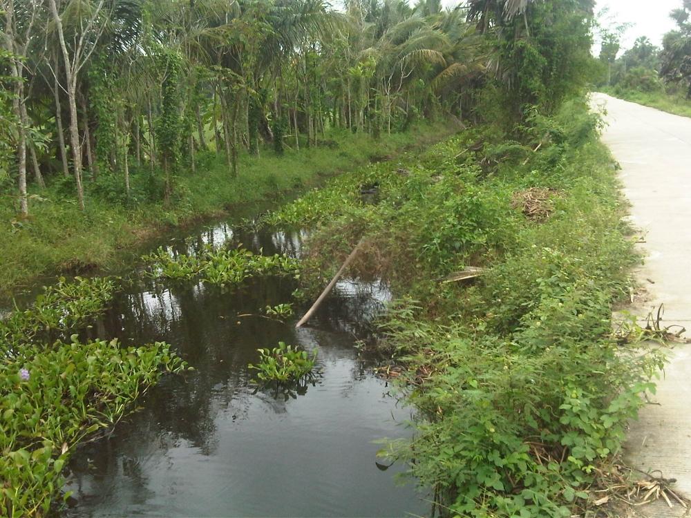 ในวันฟ้าครึ้มและฝนปรอย(เพิ่มรูปจากเมื่อตอนสาย ๆครับ)