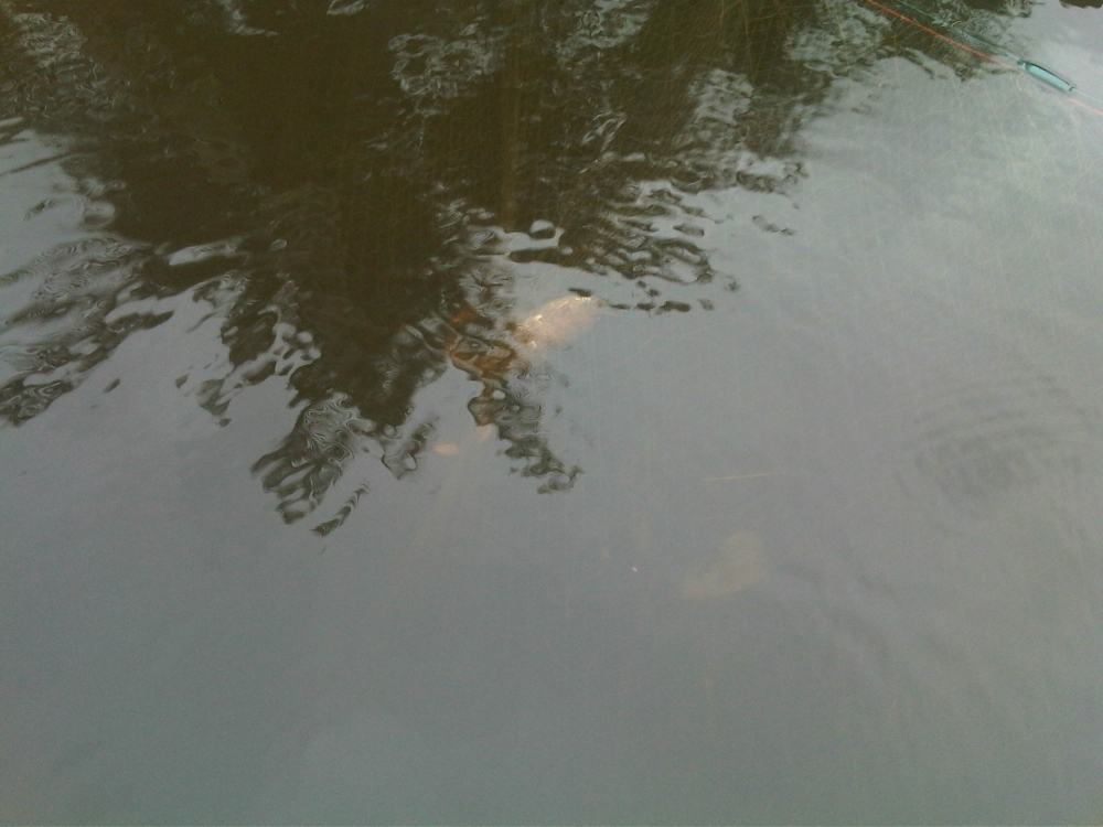 ในวันฟ้าครึ้มและฝนปรอย(เพิ่มรูปจากเมื่อตอนสาย ๆครับ)