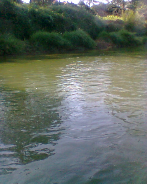สายนี้ที่เมืองจัง