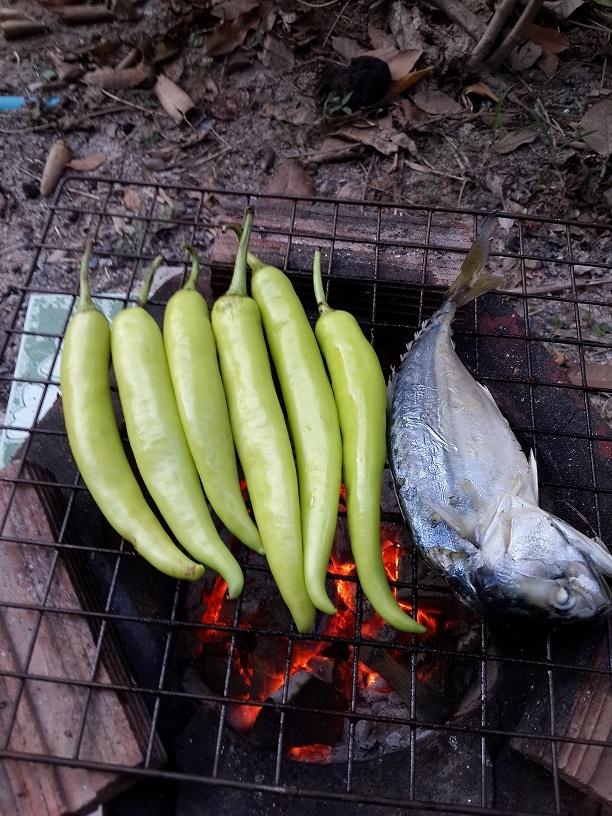 หมูย่างกับน้ำพริกปลาทู ครับ