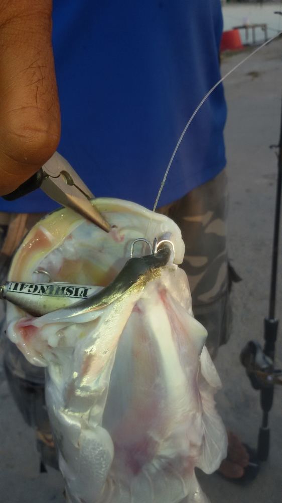 3หนุ่ม 3มุม กับกระพงบ่อ VIP กินเหยื่อ FISHING4U ถึง 3ตัวพร้อมกัน
