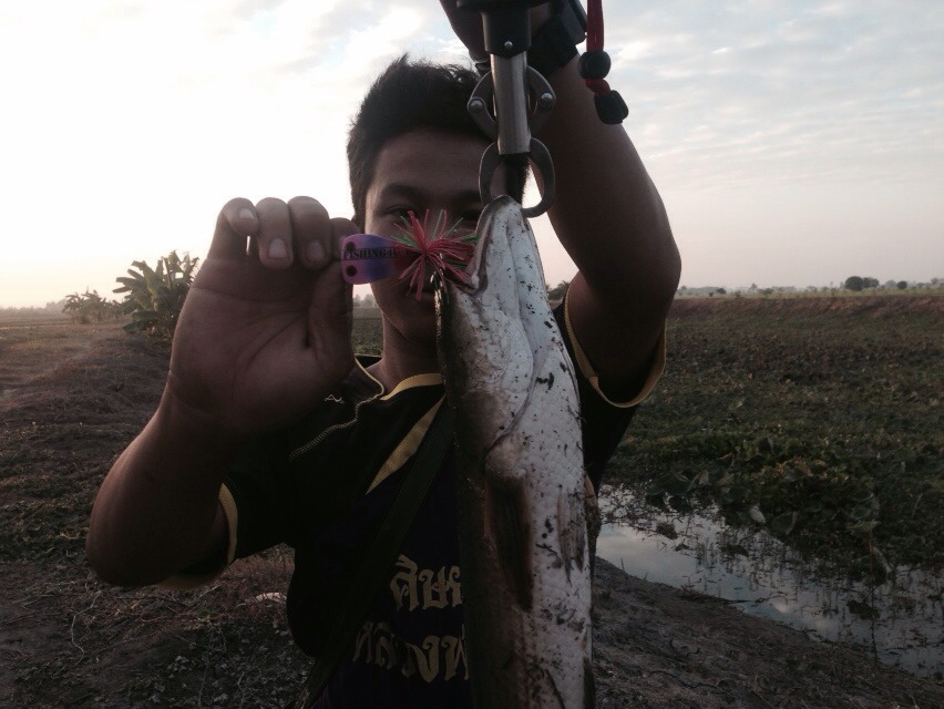 ช่อนโลกว่า ๆ ชอบกบสามเหลี่ยม FISHING4U จริง ๆ เลย  โดย Ket Zaza