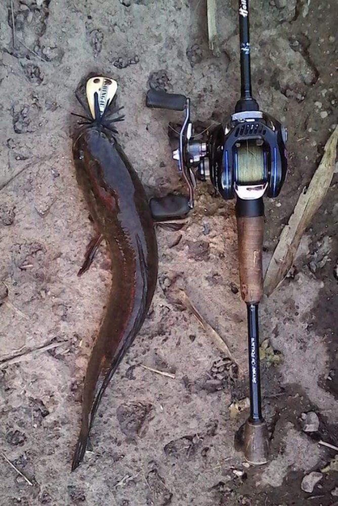 Tanapol Moysai : มาอีกแล้ว... FISHING4U