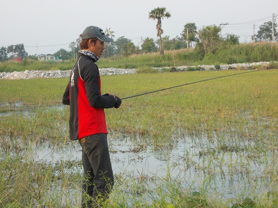 ทีมงาน(Kon - Rim - Thang Fisihing Gang)เจอเเต่ ช่อนป๊อก กัด ดุจริงๆ รอดเเห้ว ไป 