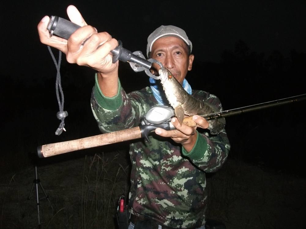 ***รอจนสิ้นแสง***