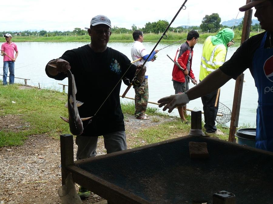 ทิดที่ 11 ม.ค นี้ 600 ลุ้น 30,000 ที่บ่อจ้าวซันฟิชชิ่ง สระบุรี