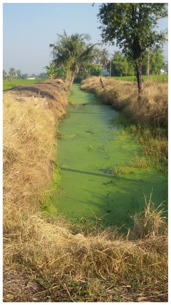 พาน้องน้ำหวานไปว่ายน้ำครับ