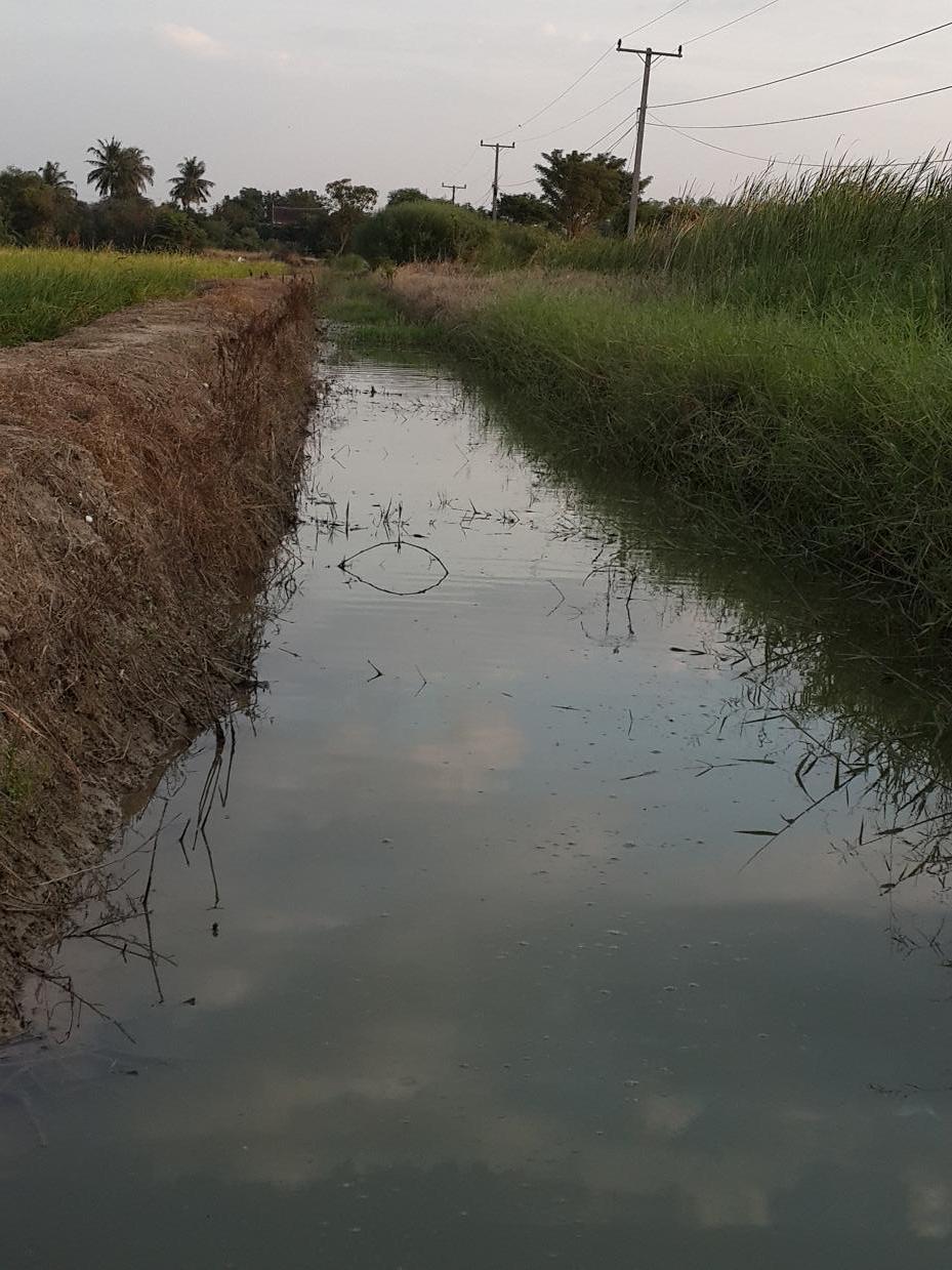 วันหยุดช่วงปีใหม่ 