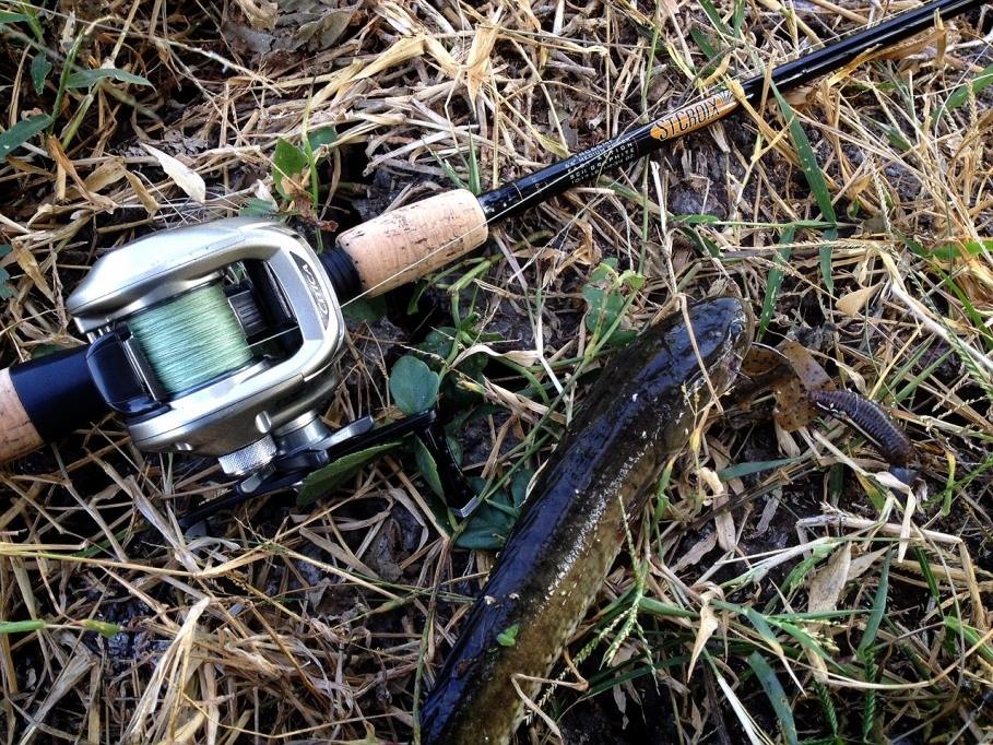 200E ยามเย็น > ปลาตัวแรก Texas Rig[2015]