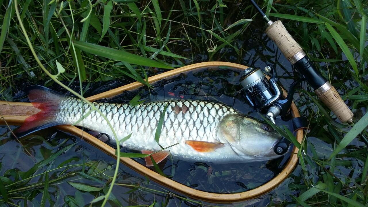 วันผักผ่อน กับ Native Stream Of Hampala Chachoengsao