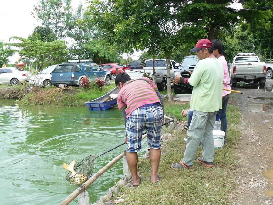 ทิดที่ 11 ม.ค นี้ 600 ลุ้น 30,000 ที่บ่อจ้าวซันฟิชชิ่ง สระบุรี