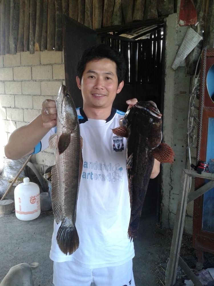 ช่อนวันสิ้นปี