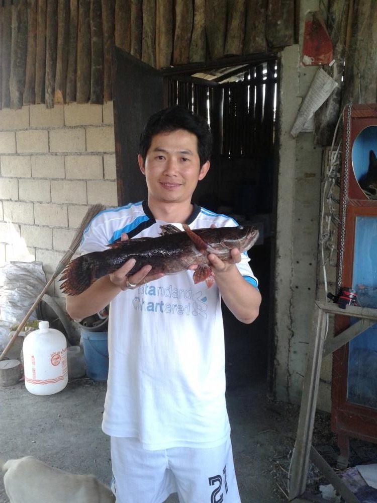 ช่อนวันสิ้นปี