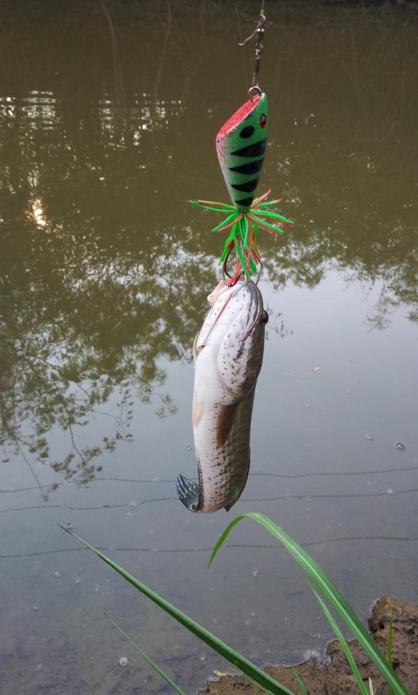 ทดลองส่งครั้งแรก