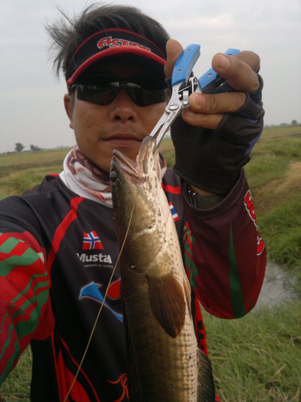 "เข้ยาง"ตีปุ๊บ กินปั๊บ!!!