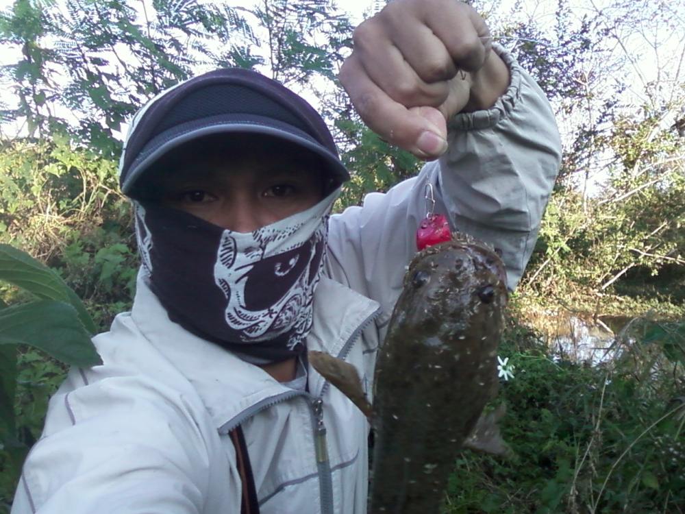 *เย็นนี้ จัดช่อนมา 1หน่วยครับ*