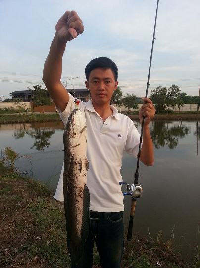 ปลาชอบของแปลก ##ปลั๊กยาง วีนอฟ##