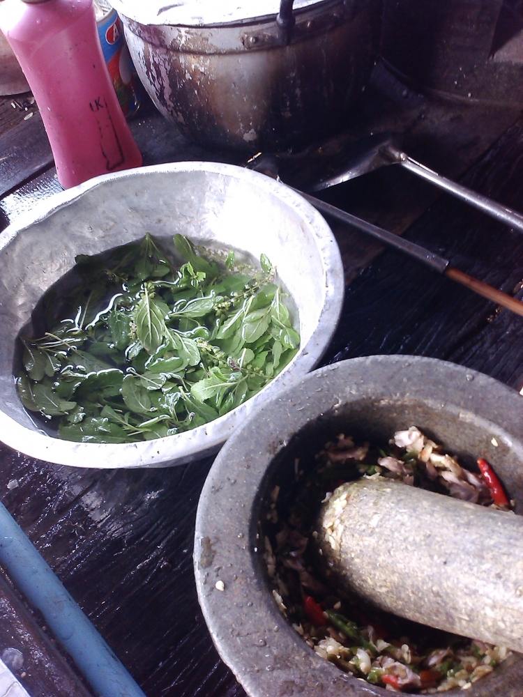 ตกปลาช่อน จ้า
