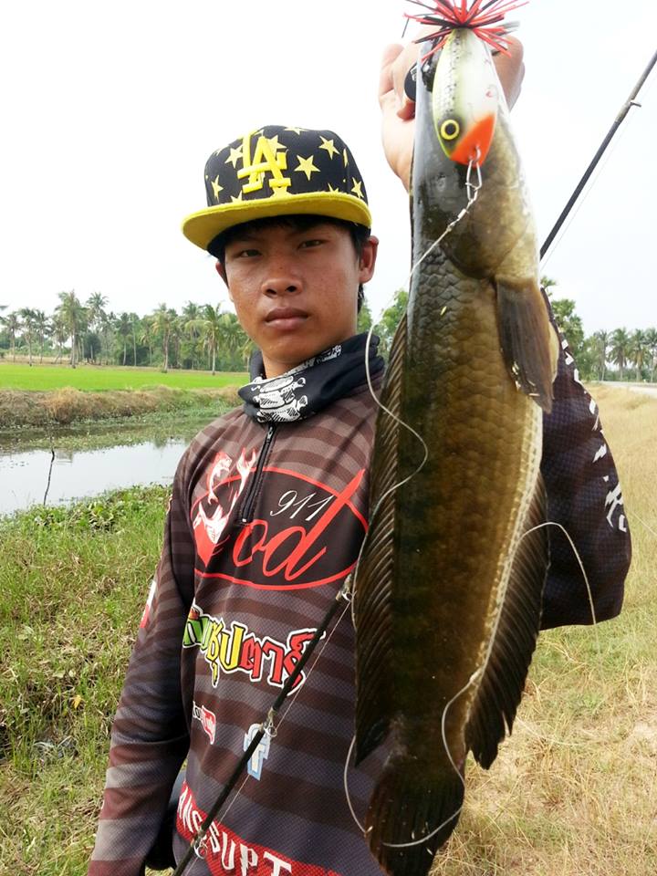 ผลงานเยอะฝุดๆๆกบซุปตาร์เด้อครับ