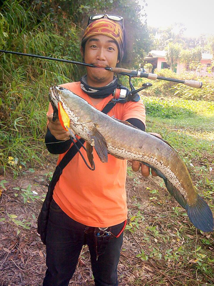 หลังปีใหม่ ช่อนโทฟี่ จ.ตราด