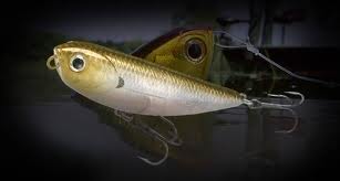 LUCKY CRAFT SAMMY 65 กับ MEGABASS DOG-X JR COAYU ตัวใหนน่าใช้กว่ากัน