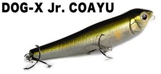 LUCKY CRAFT SAMMY 65 กับ MEGABASS DOG-X JR COAYU ตัวใหนน่าใช้กว่ากัน