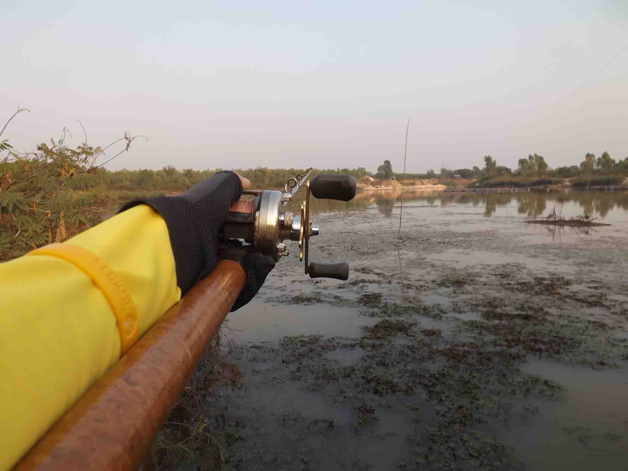 ...ตามเค้ามาขุดแห้วครับ..